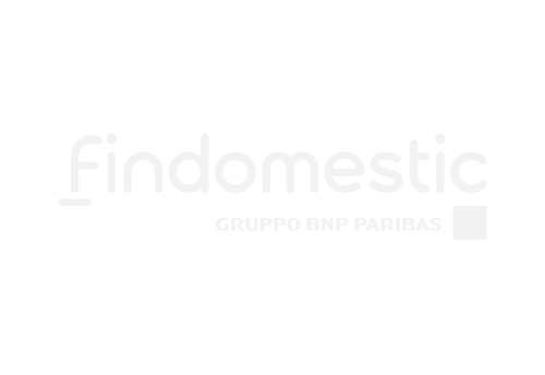Findomestic