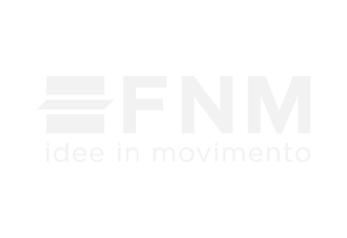 FNM Group